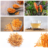 Cordyceps benefits - A powerful fungus